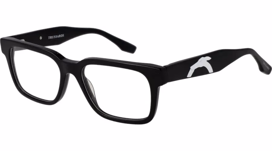 Trussardi Black Acetate Glasses (Frames)